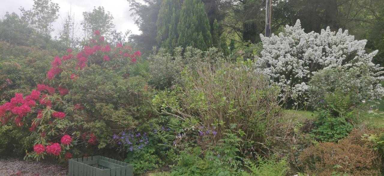 포트살론 Leenan View Country House 게스트하우스 외부 사진