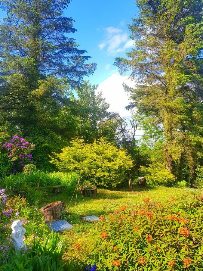 포트살론 Leenan View Country House 게스트하우스 외부 사진